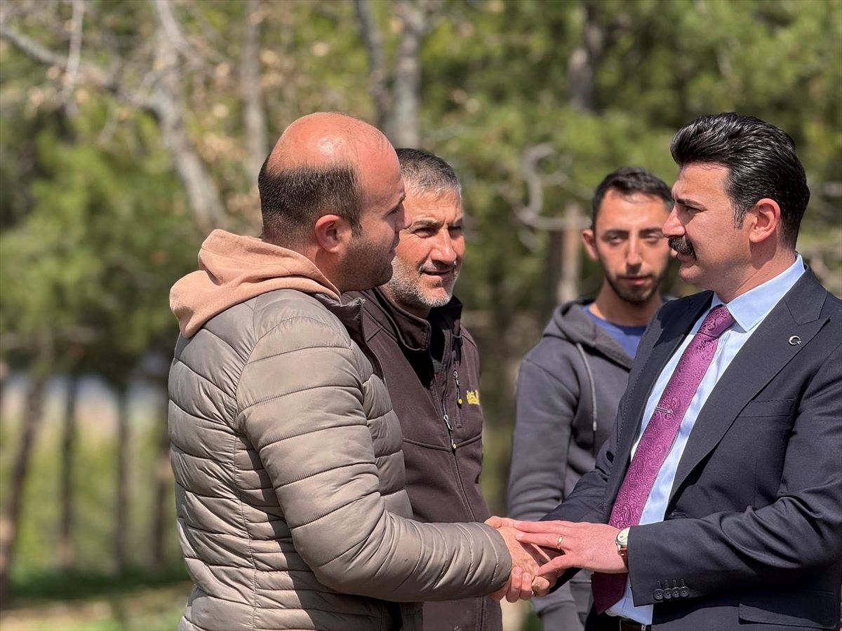 Hamamözü Kaymakamı Ertuğrul Arslan öğrencilerle fidan dikti