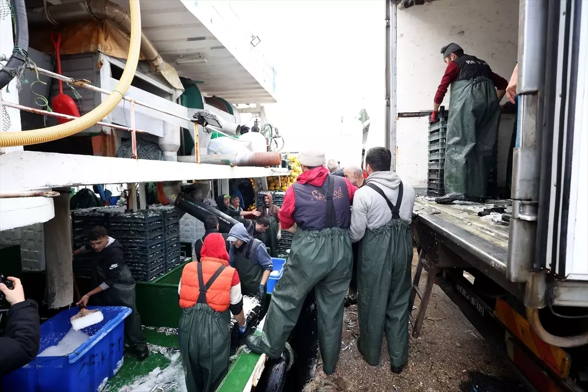 Hamsinin izini süren Karadenizli balıkçılar rotalarını İğneada'ya çevirdi