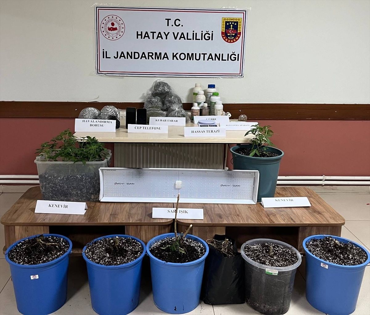 Hatay'da evde uyuşturucu yetiştirdikleri iddiasıyla yakalanan 2 zanlıdan 1'i tutuklandı