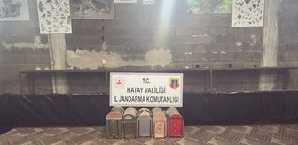 Hatay'da horoz dövüştüren 76 kişiye 990 bin 432 lira ceza kesildi