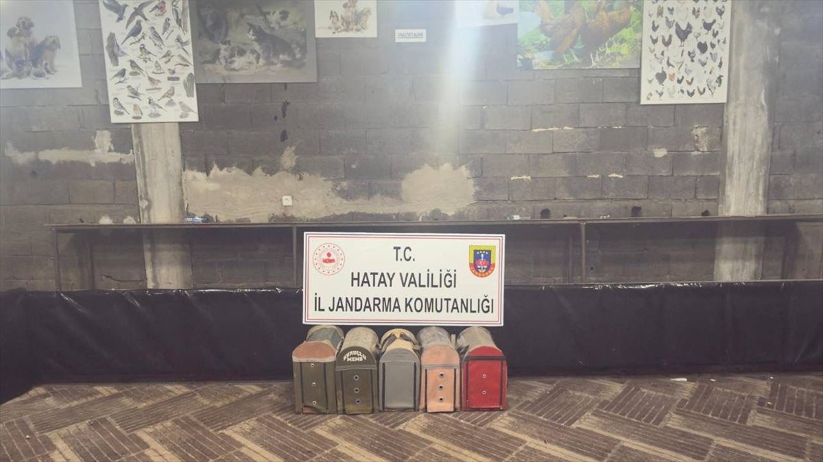 Hatay'da horoz dövüştüren 76 kişiye 990 bin 432 lira ceza kesildi