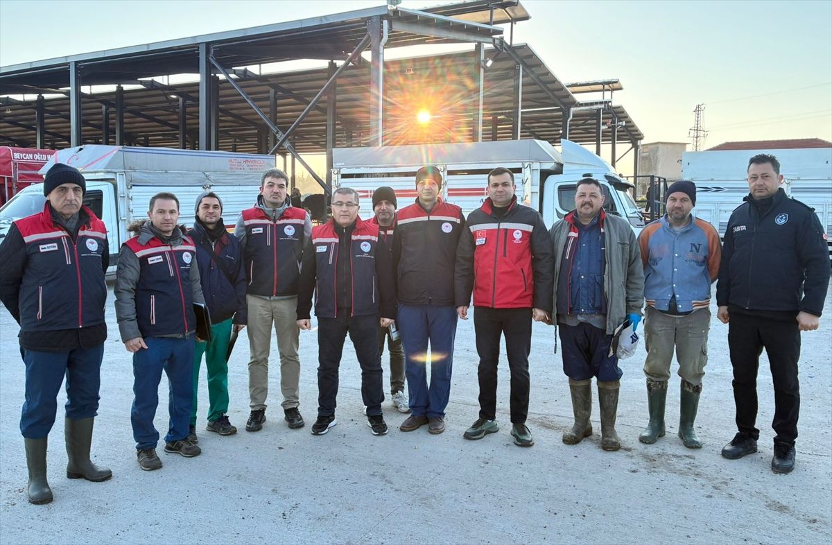 Havsa Canlı Hayvan Pazarı denetlendi