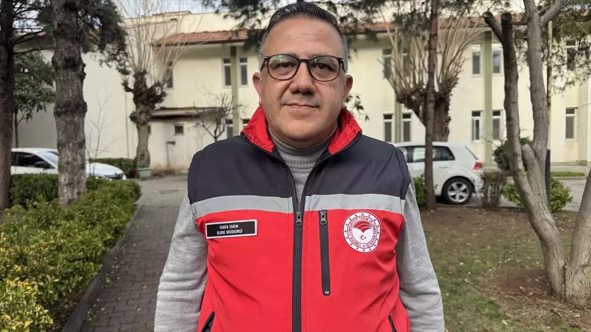 Hayalet ağlarda can çekişen balıklar, jandarma eliyle hayata tutunuyor