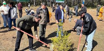 İhsangazi'de 'Dünya Ormancılık Günü' etkinliği düzenlendi