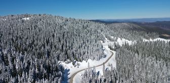 Ilgaz Dağı'nda kar yağışının ardından beyaza bürünen ormanlar dronla görüntülendi
