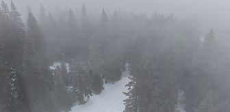 Ilgaz Dağı'nda yoğun sis ve kar yağışı etkili oluyor