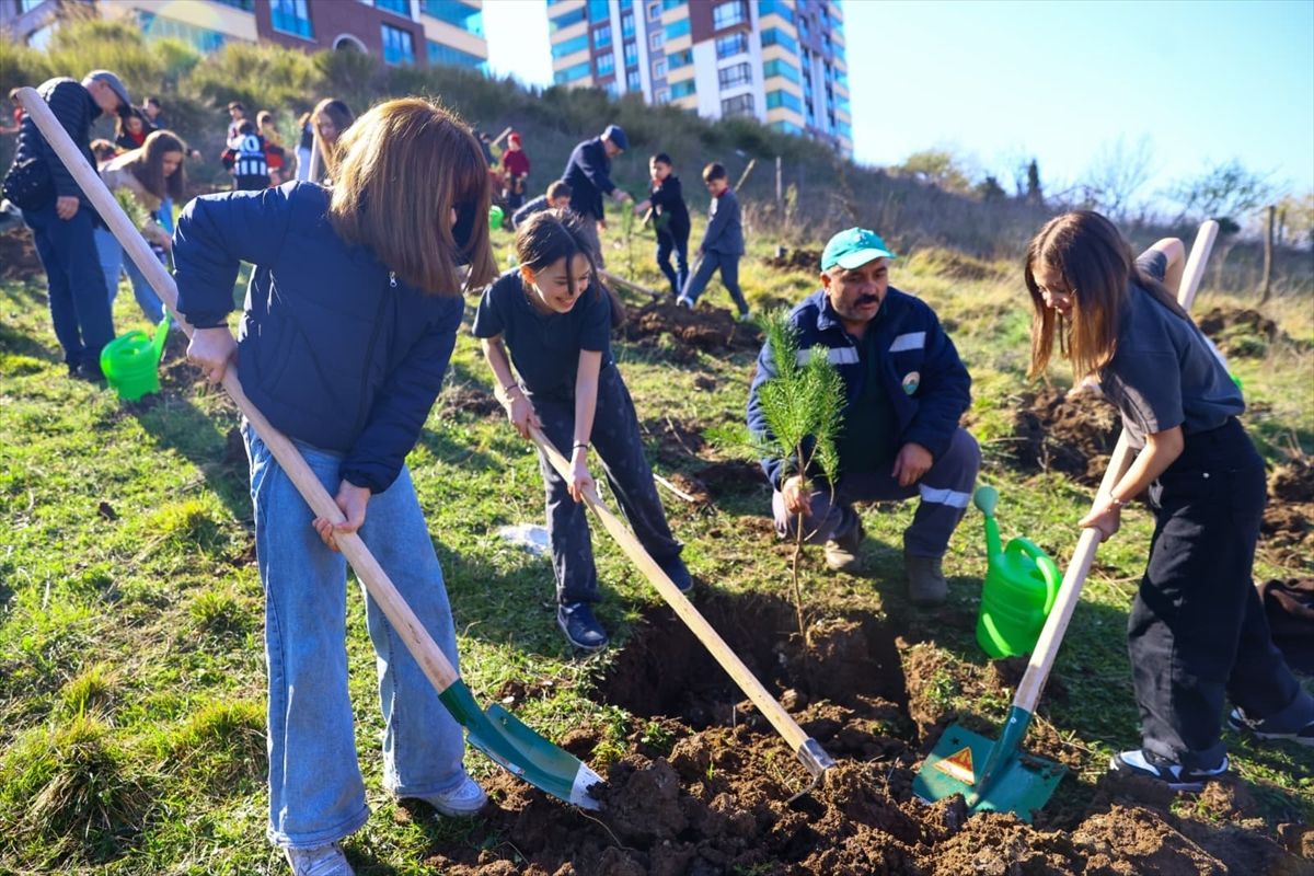 İlkadım'da Orman Haftası kapsamında fidan dikim etkinliği düzenlendi