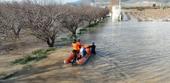 İzmir'de su basan çiftlikteki hayvanlar itfaiye ekiplerince kurtarıldı