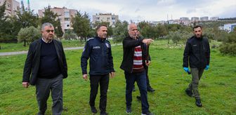 İzmir'de zehirlendiği iddia edilen hayvanlarla ilgili inceleme başlatıldı