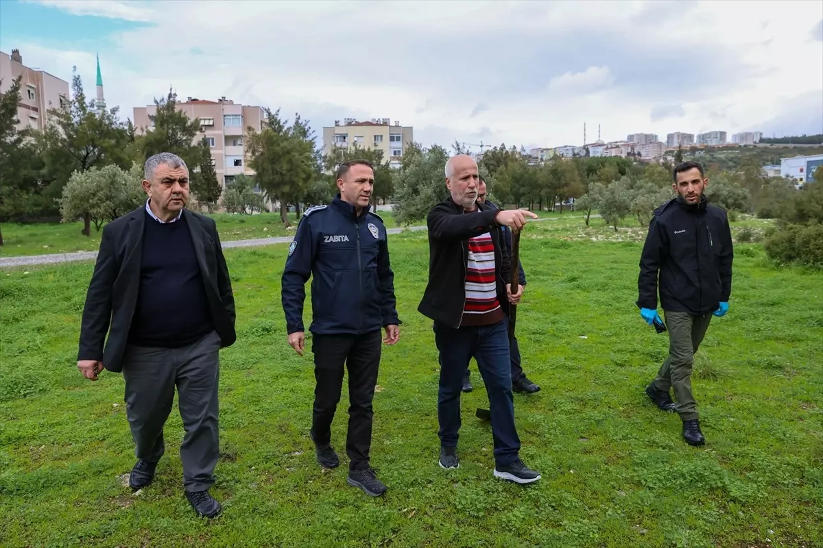İzmir'de zehirlendiği iddia edilen hayvanlarla ilgili inceleme başlatıldı