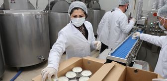 Kadın girişimci devlet desteğiyle dondurmada kendi markasını oluşturdu