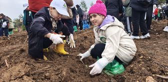 Karabük'te yanan ormanlık alana 2 bin 26 fidan dikildi