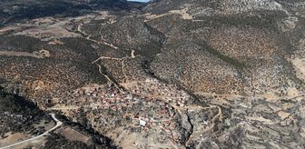 Karaman'da 1931 yaşındaki anıt ağaç asırlara meydan okuyor