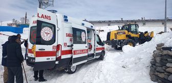 Kars'ta boynuz darbesiyle gözünden ağır yaralanan kişi ekiplerin uzun uğraşlarıyla hastaneye kaldırıldı