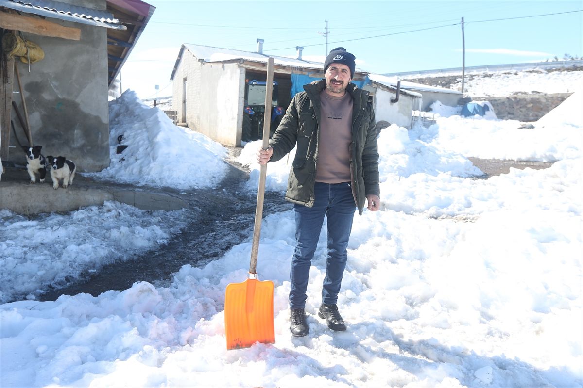 Kars'ta kurt sürüsünü kürekle kovalayan besici güvenlik kamerasında