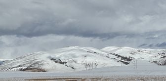 Kars ve Ardahan'da kar yağışı etkili oldu