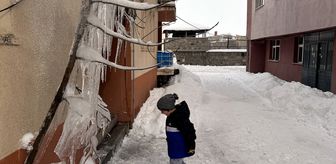 Kars ve Ardahan'da kar yağışı ve soğuk hava etkili oluyor