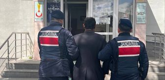 Kayseri'de köpeği ağaca asarak öldüren zanlı gözaltına alındı