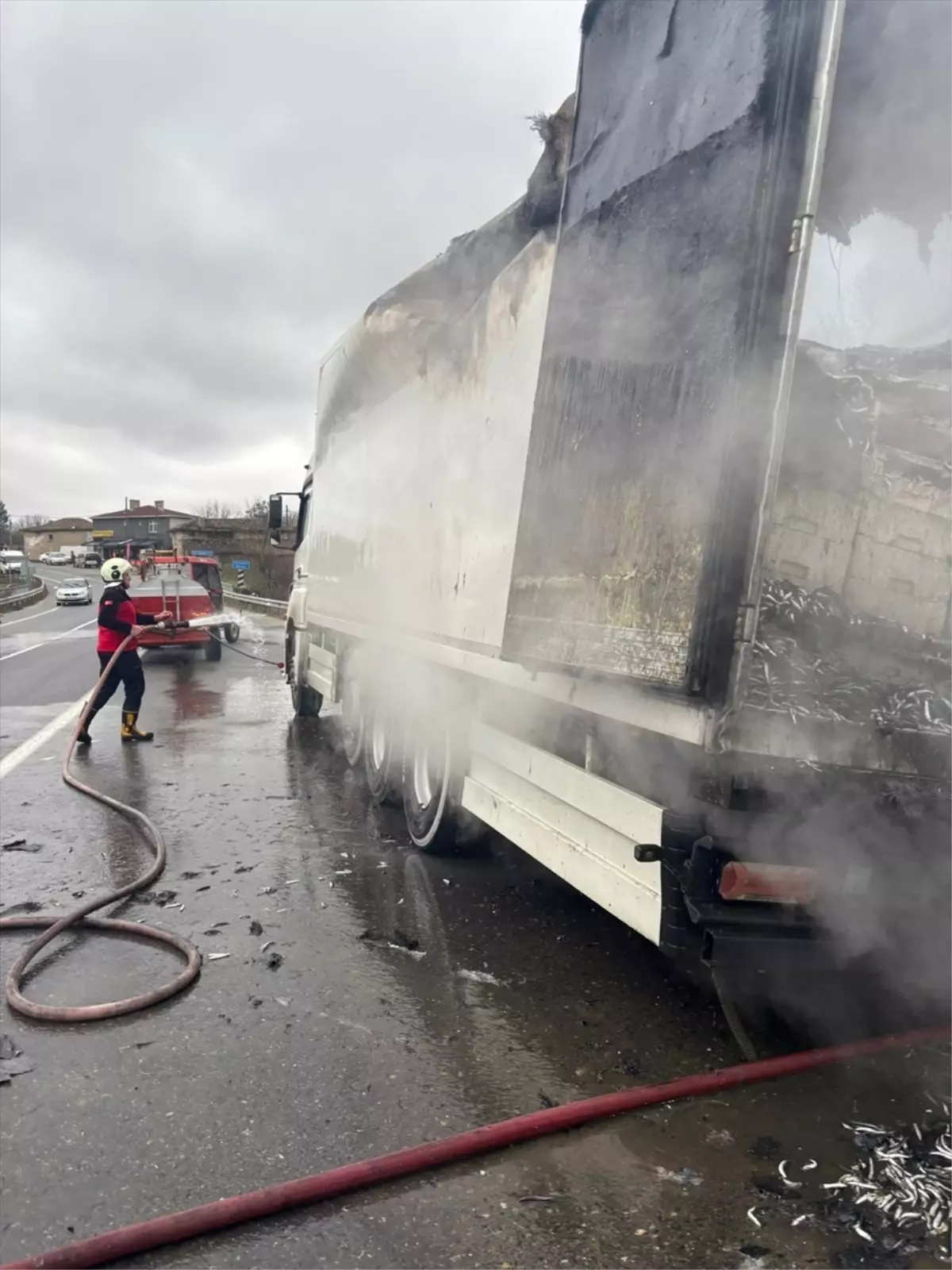 Kırklareli'nde hamsi yüklü tırda çıkan yangın söndürüldü