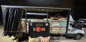 Kırşehir'de kamyonette 3,1 ton kıyılmış tütün ele geçirildi