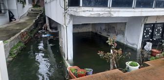 Kocaeli ve Düzce'de şiddetli rüzgar hayatı olumsuz etkiledi