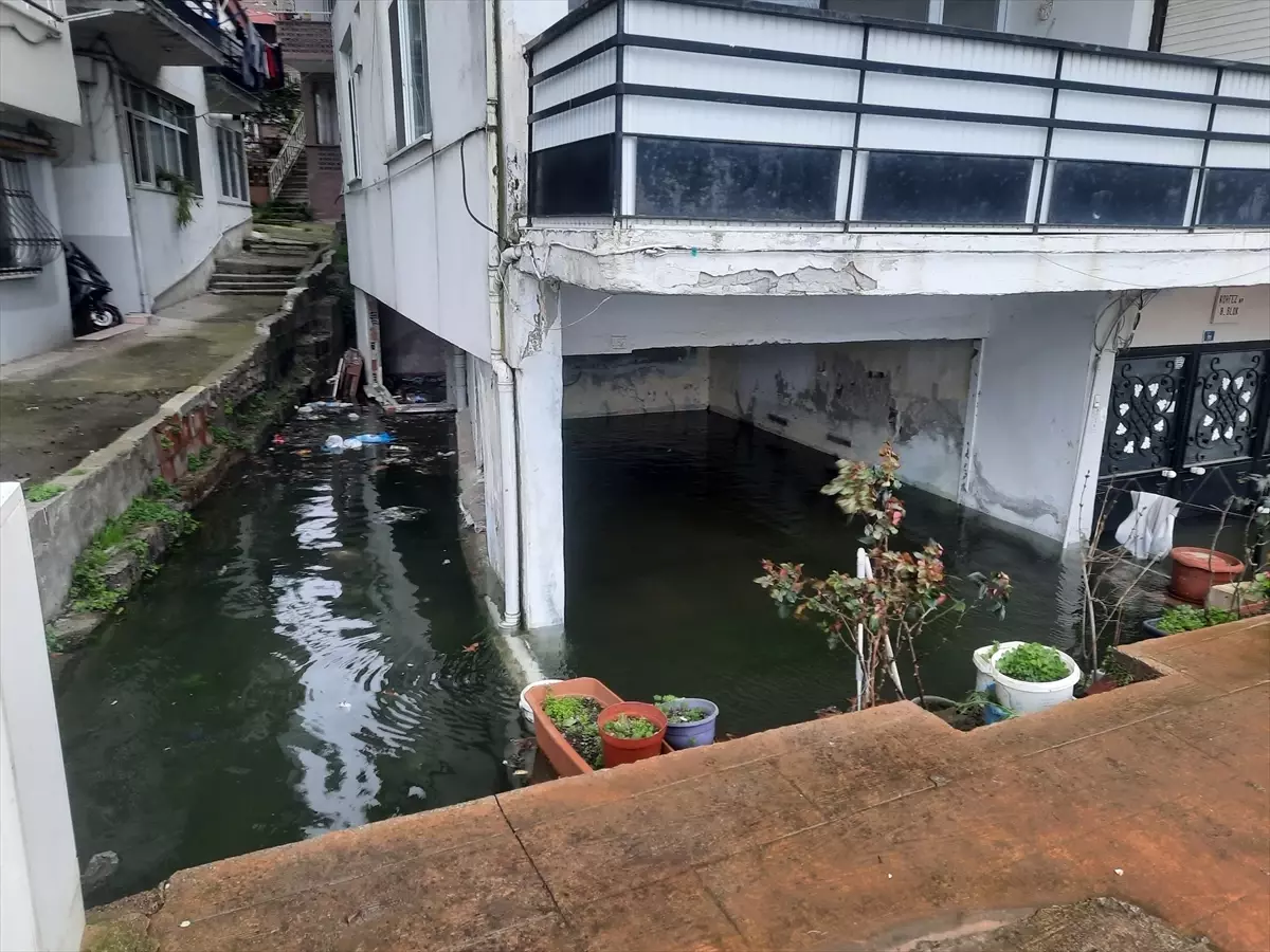 Kocaeli ve Düzce'de şiddetli rüzgar hayatı olumsuz etkiledi