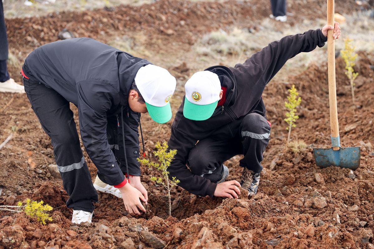 Konya'da 10 bin fidan toprakla buluşturuldu