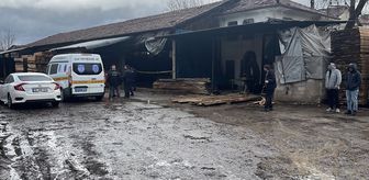 Kütahya'da tomruk biçme makinesinin üstüne düşen işçi öldü