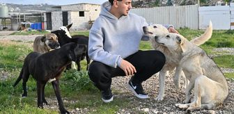 Lübnanlı genç, İsrail'in saldırıları altındaki bölgelerde 'kaderine terk edilmiş hayvanları' kurtarıyor