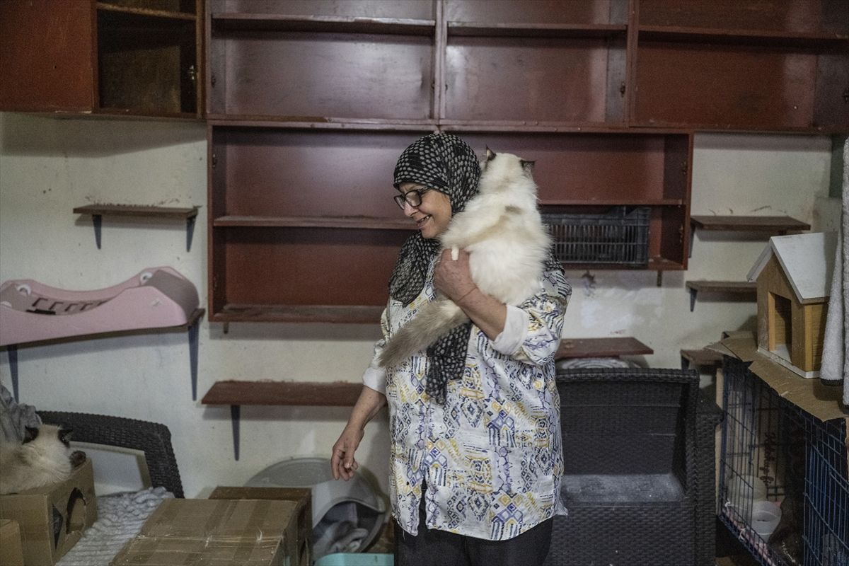Lübnanlı hayvansever Abadi, İsrail saldırıları altındaki Dahiye'den 40 kedisiyle ayrılmak zorunda kaldı