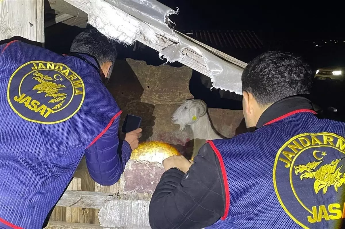 Manavgat'ta küçükbaş hayvan çaldıkları iddiasıyla 4 şüpheli yakalandı