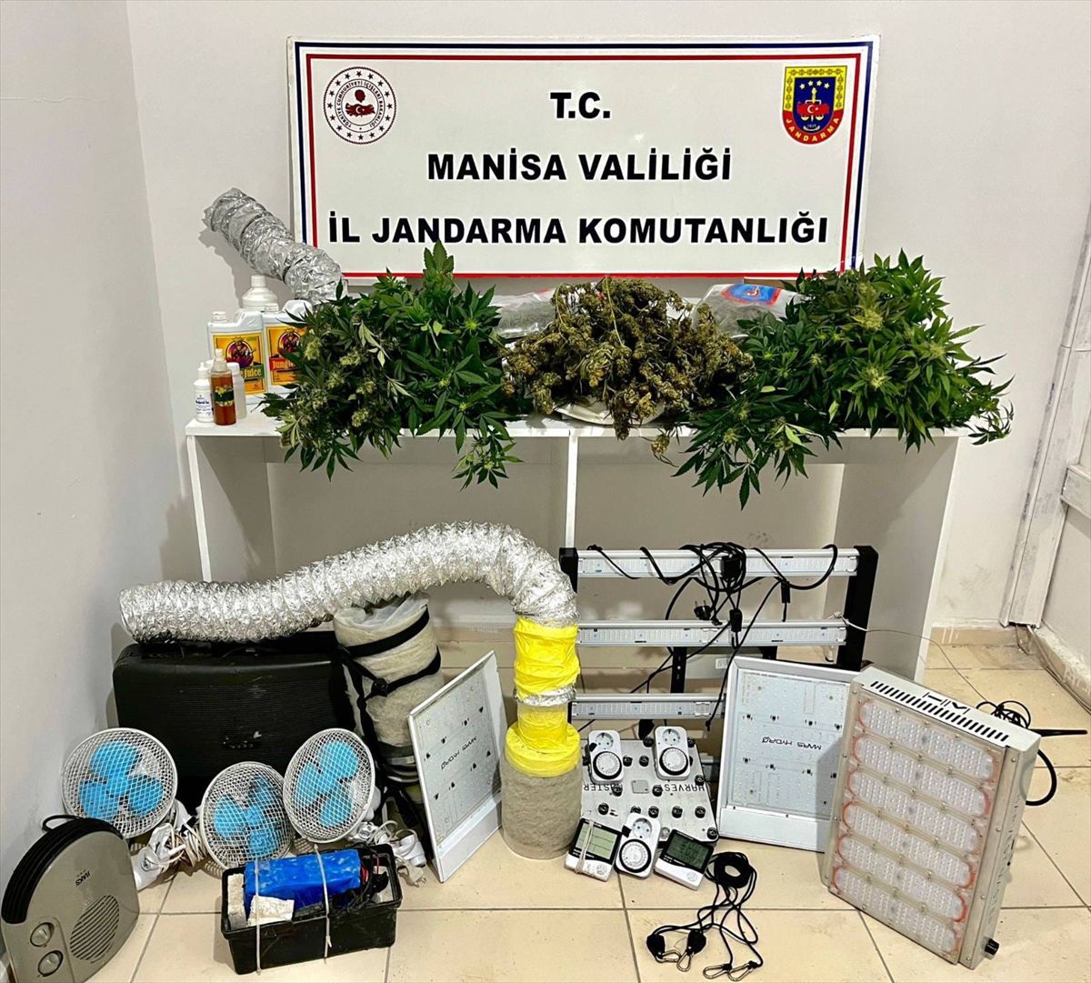 Manisa'da evde sera kurarak kenevir yetiştiren 2 şüpheli yakalandı