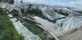 Mersin'de dolu ve fırtına tarım alanlarına zarar verdi
