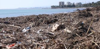 Mersin'de sağanağın etkisiyle balçık biriken Millet Bahçesi sahili temizliyor