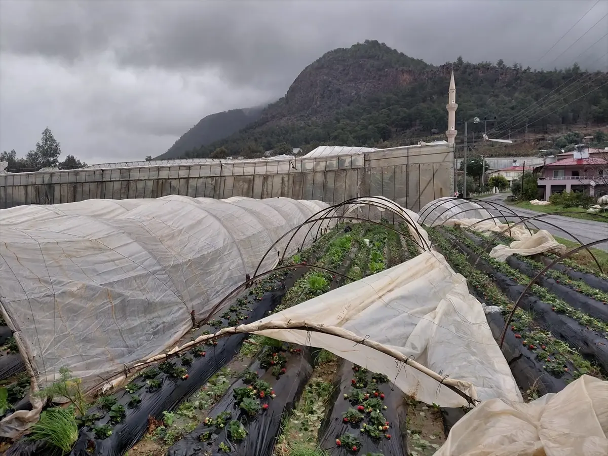 Mersin'de sağanak ve şiddetli rüzgar etkili oldu