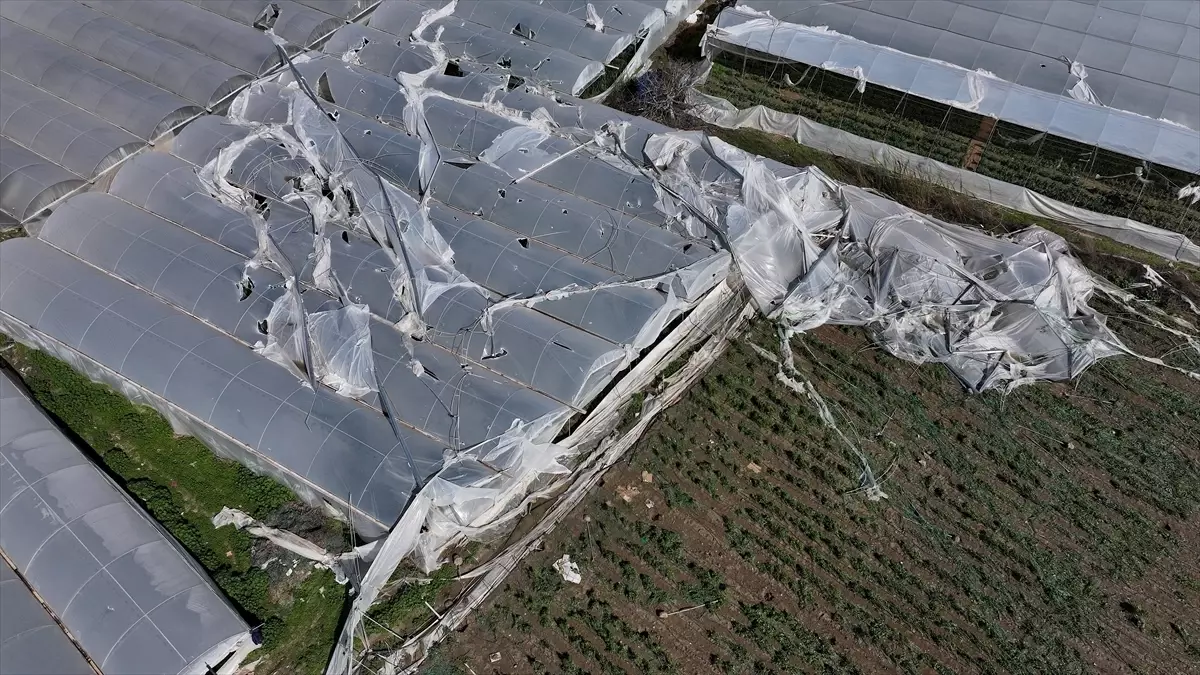 Mersin'de şiddetli rüzgardan zarar gören seralarda hasar tespit çalışması başlatıldı