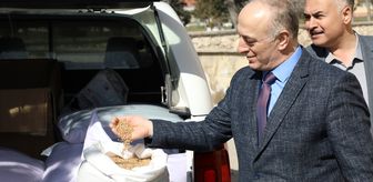 Mihalıççık ve Günyüzü'nde çiftçilere hibe ata tohumu dağıtıldı
