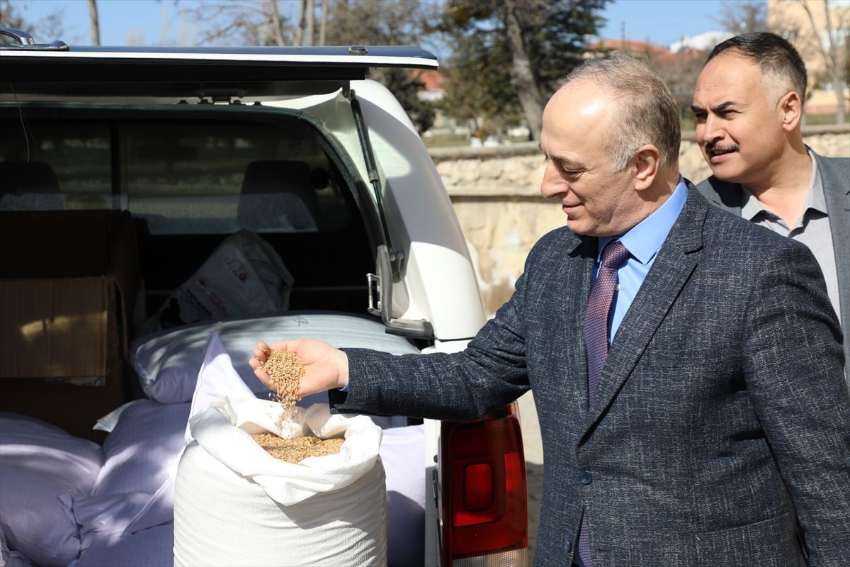Mihalıççık ve Günyüzü'nde çiftçilere hibe ata tohumu dağıtıldı