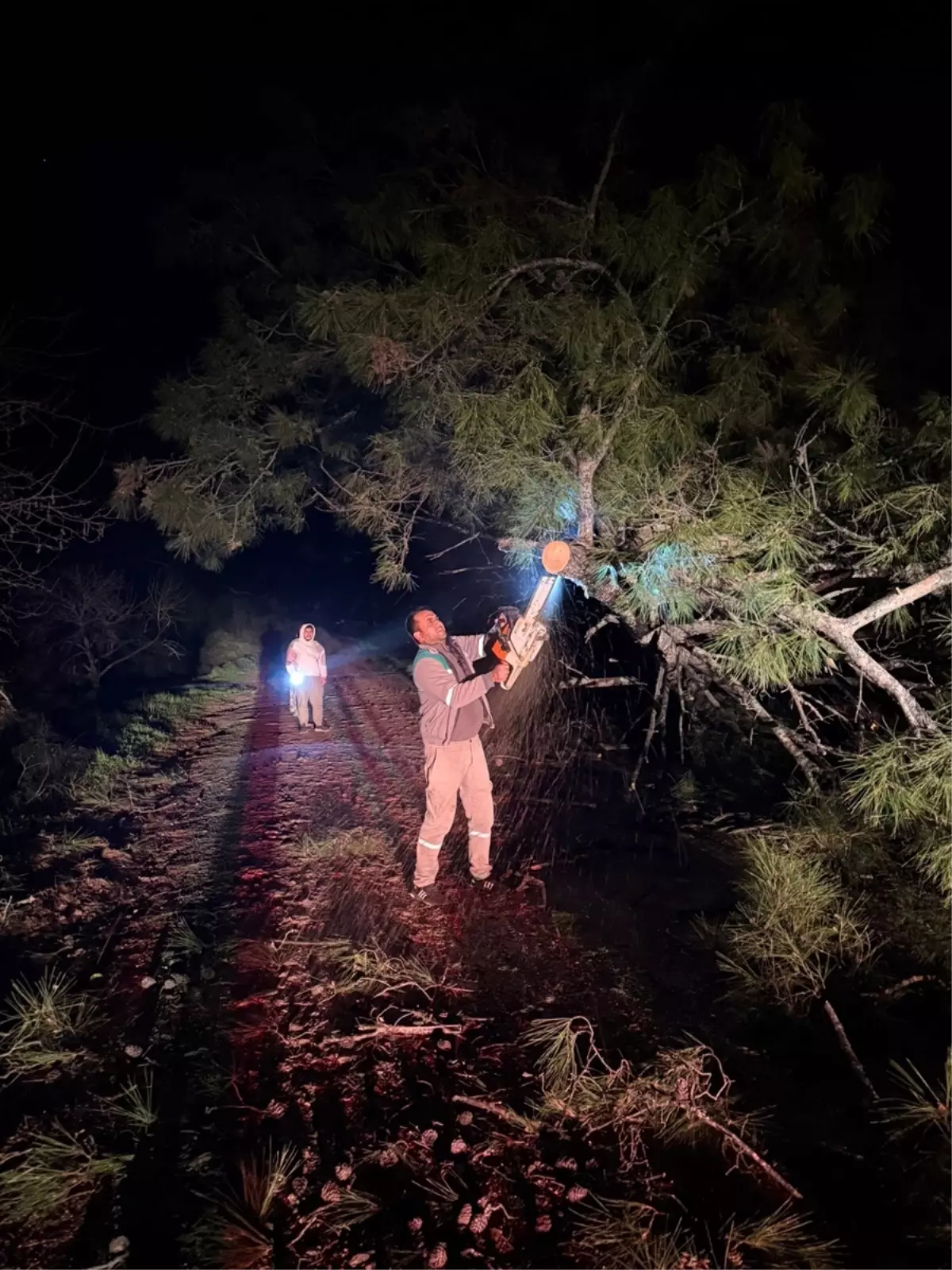 Muğla'da kuvvetli fırtına etkili oluyor