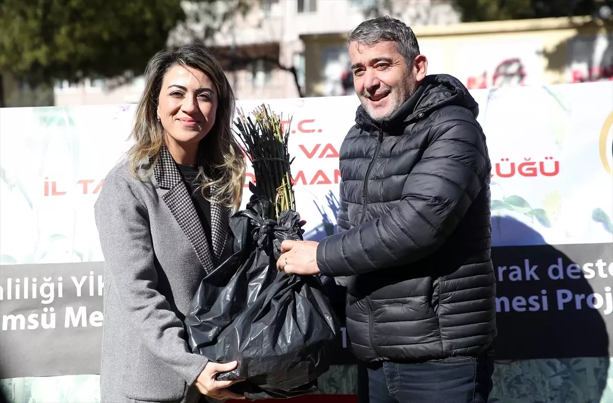 Muğla'da üzümsü meyvelerin ekim alanı genişliyor