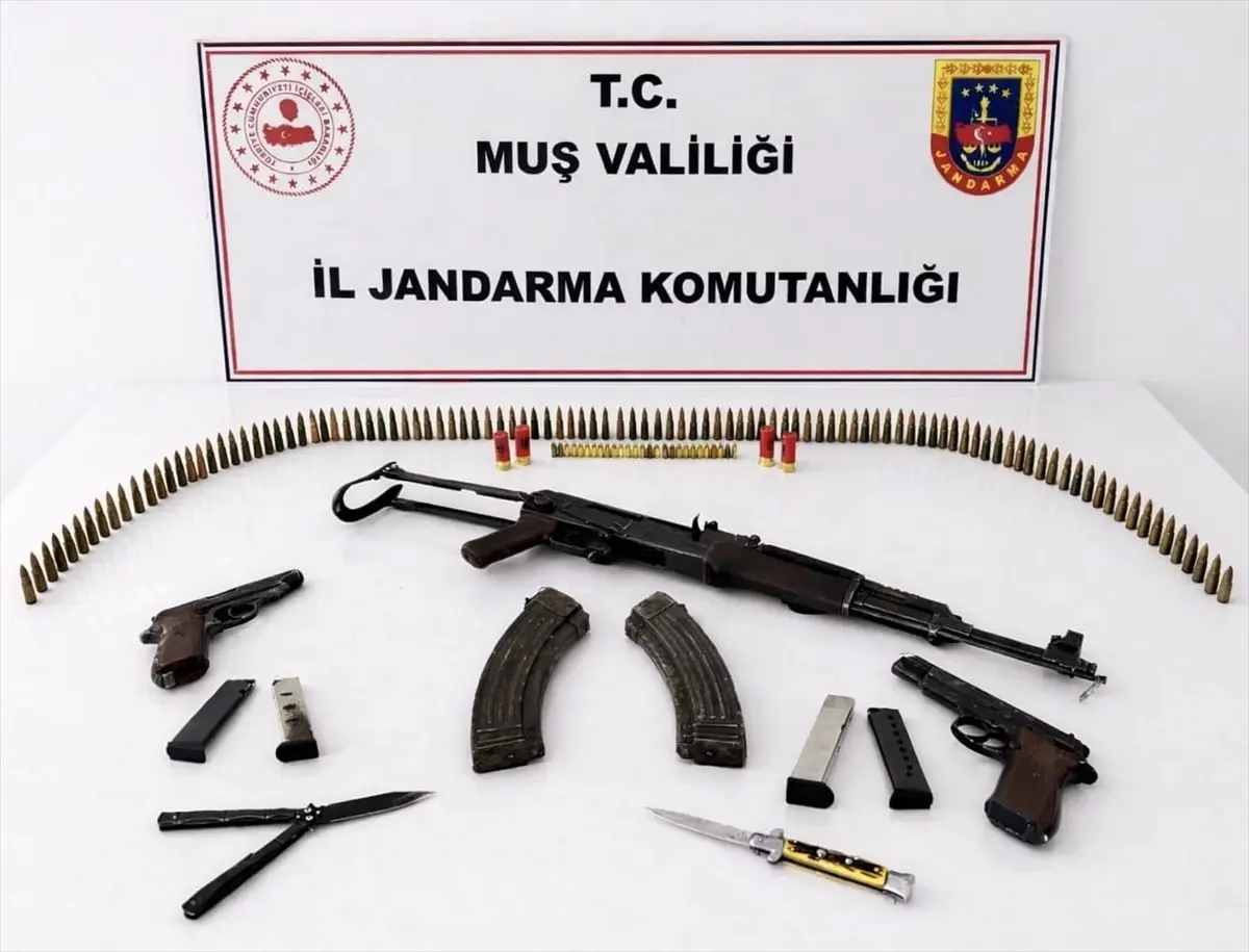 Muş'ta silah ve mühimmat ele geçirildi