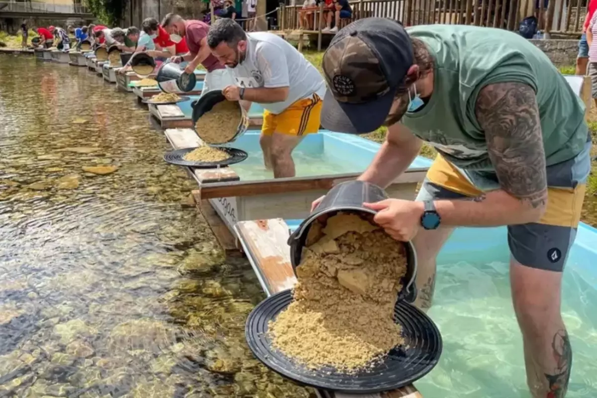 Nehir yatağında ortaya çıkıyor, eline tavasını alan avuç avuç topluyor