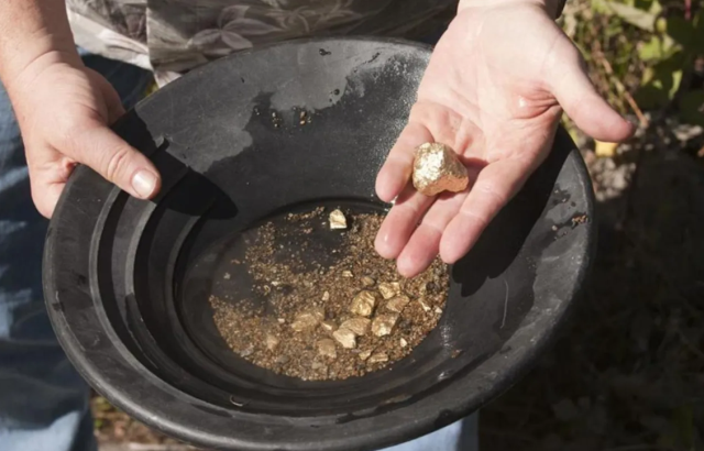 Gold is revealed in the riverbed, those who take their pans collect handfuls
