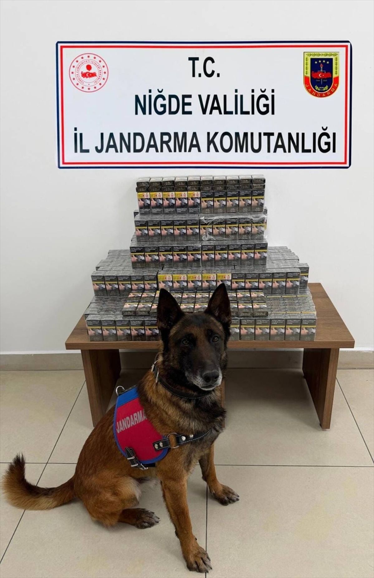 Niğde'de kaçakçılık operasyonunda 1 zanlı yakalandı