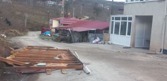 Ordu'da fırtına nedeniyle 11 evin çatısı uçtu, ağaçlar devrildi