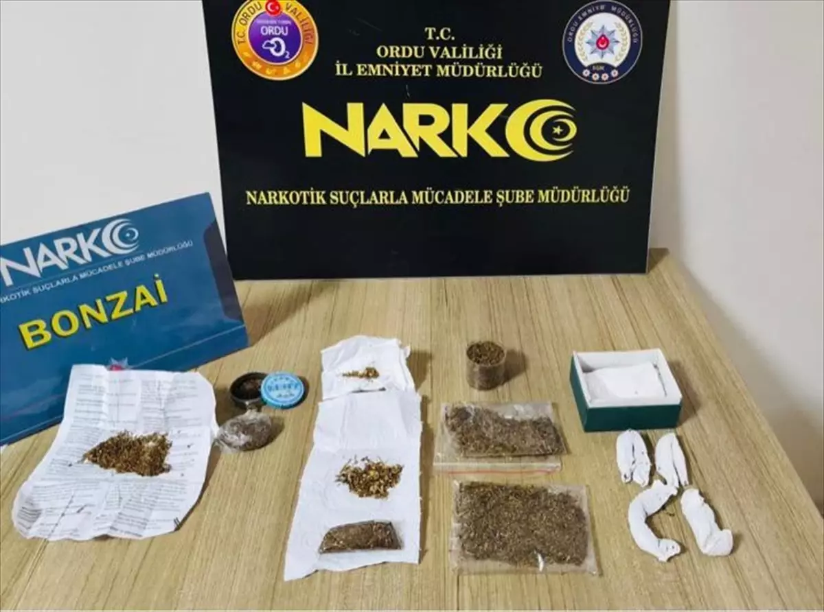 Ordu'da uyuşturucu operasyonunda 19 kişi tutuklandı