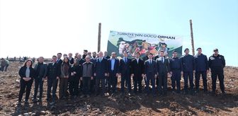 Orhaneli'de fidan dikme etkinliği düzenlendi