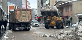 Orta ve Doğu Karadeniz'de kar etkili oldu