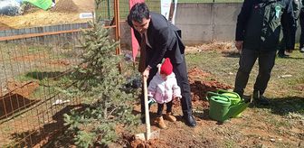 Pazaryeri'nde fidanlar toprakla buluşturuldu
