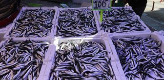 Rize'de istavrit ve hamsinin kilogramı 100 liradan satıldı